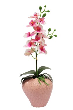 Macetero cerámica orquídea fucsia
