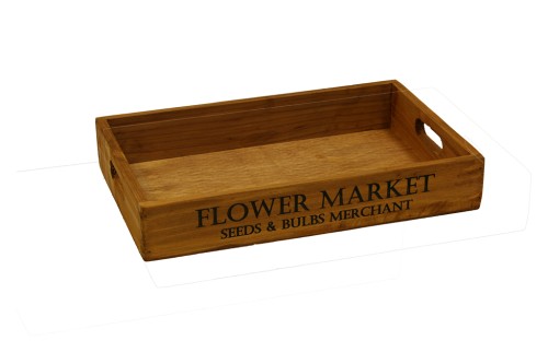 flores