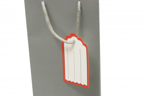 Smooth gray wine bag