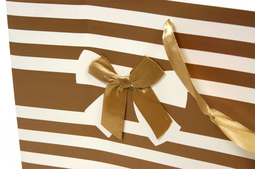 Brown striped bag