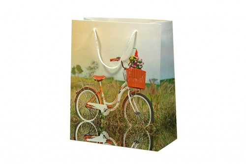 Bolsa bicicleta