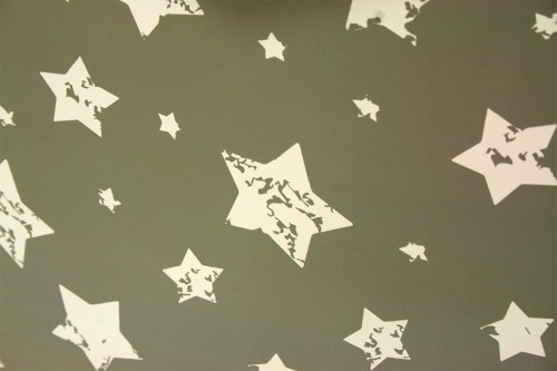 Light gray bag with stars