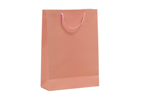 bolsa de carton