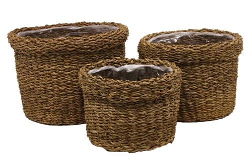 Macetero seagrass s/3