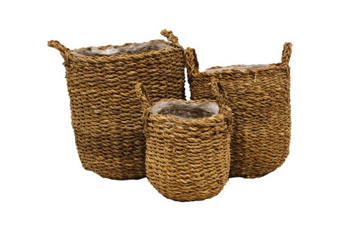 Canasto de seagrass