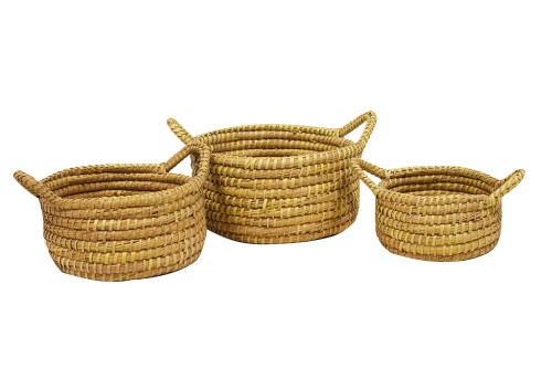 Cesta disher s/3