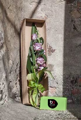 Iriga schachtel für blumen