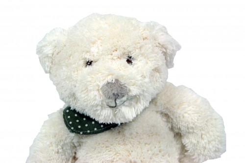 White teddy bear with scarf