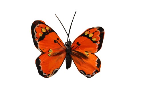 Pin mariposa naranja  paquete de 20