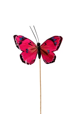 Pin mariposa rosa  paquete de 20