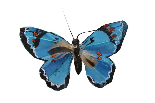 Pin mariposa azul  paquete de 20