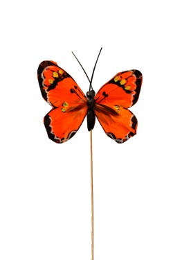 Pin mariposa naranja  paquete de 20