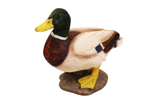 Figura pato