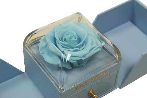 Cajita rosa preservada azul claro joyero sorpresa