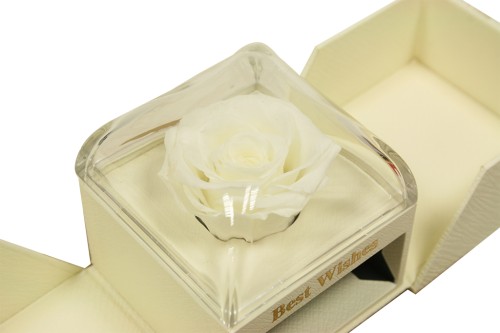 Cajita rosa preservada blanca joyero sorpresa