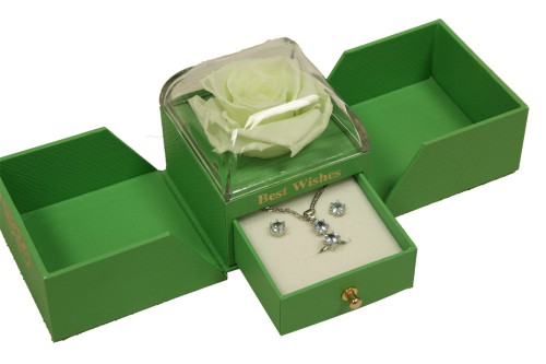 Cajita rosa preservada verde joyero sorpresa