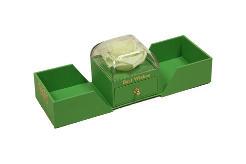 Cajita rosa preservada verde joyero sorpresa
