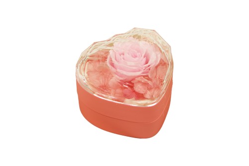 rosa eterna