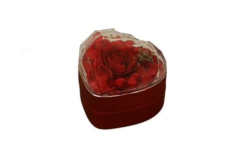 rosa eterna