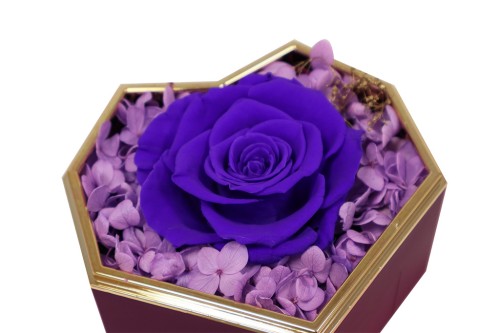 regalo
