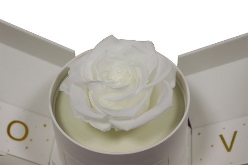 Boîte à bijoux rose éternelle blanche