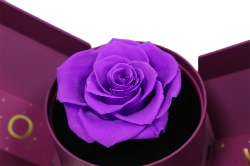 Cajita rosa morada preservada joyero