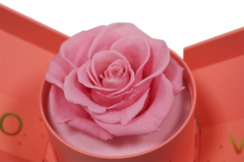 Schmuckkästchen mit ewiger Rose