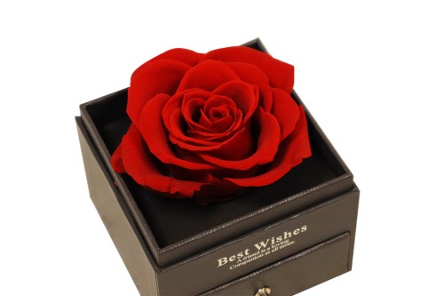 Rosa preservada con joyas roja